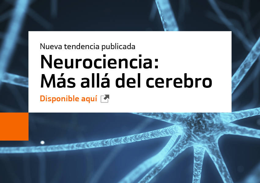 Neurociencia mas alla del cerebro