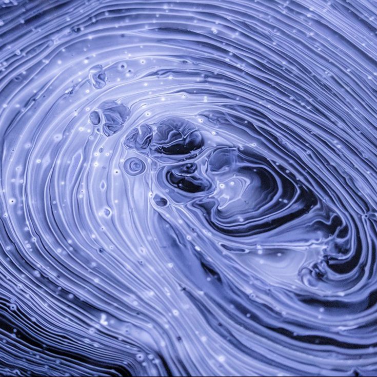 Ya puedes acceder al contenido de los webinars “Neurociencia: más allá del cerebro”