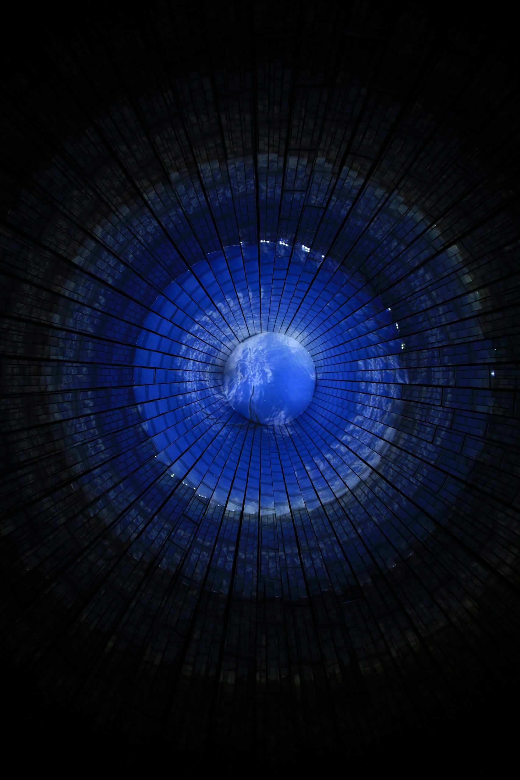 El futuro de la neurociencia