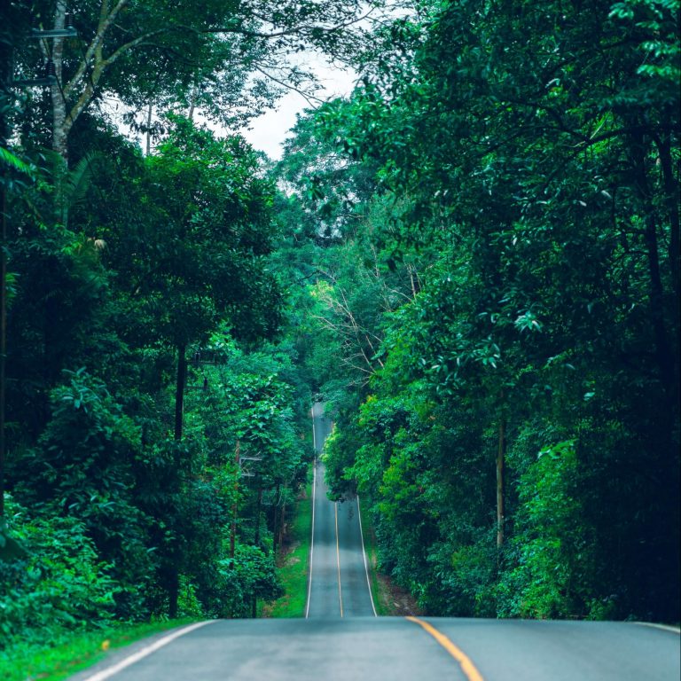 Fundación Innovación Bankinter Publicación FTF Net Zero