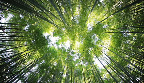 Waste and resource management