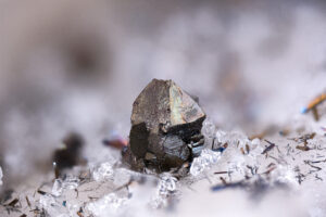 Richard Pearson: el ciclo del tritio, el gran reto oculto para la fusión comercial